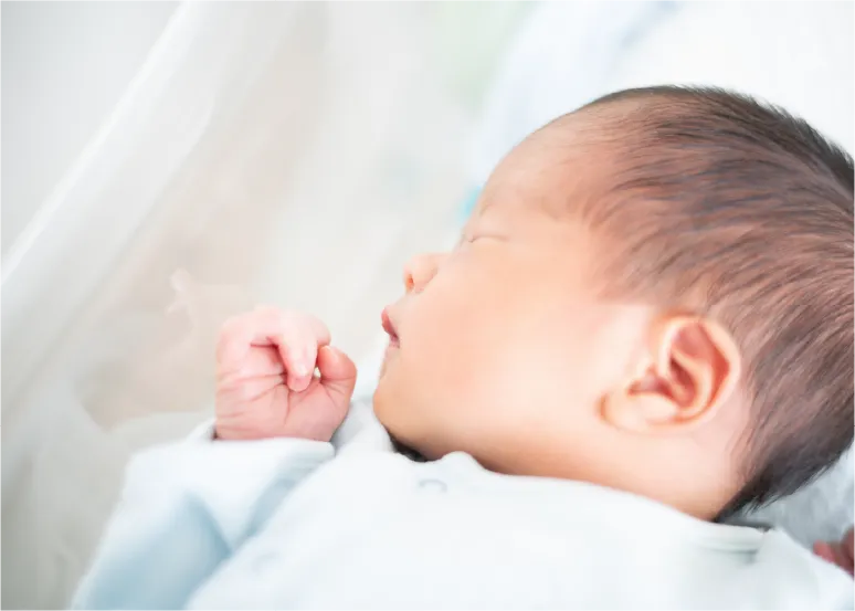 赤ちゃんの写真