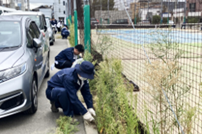九電工ホーム：博多高校除草
